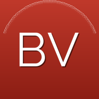 Bram Visser